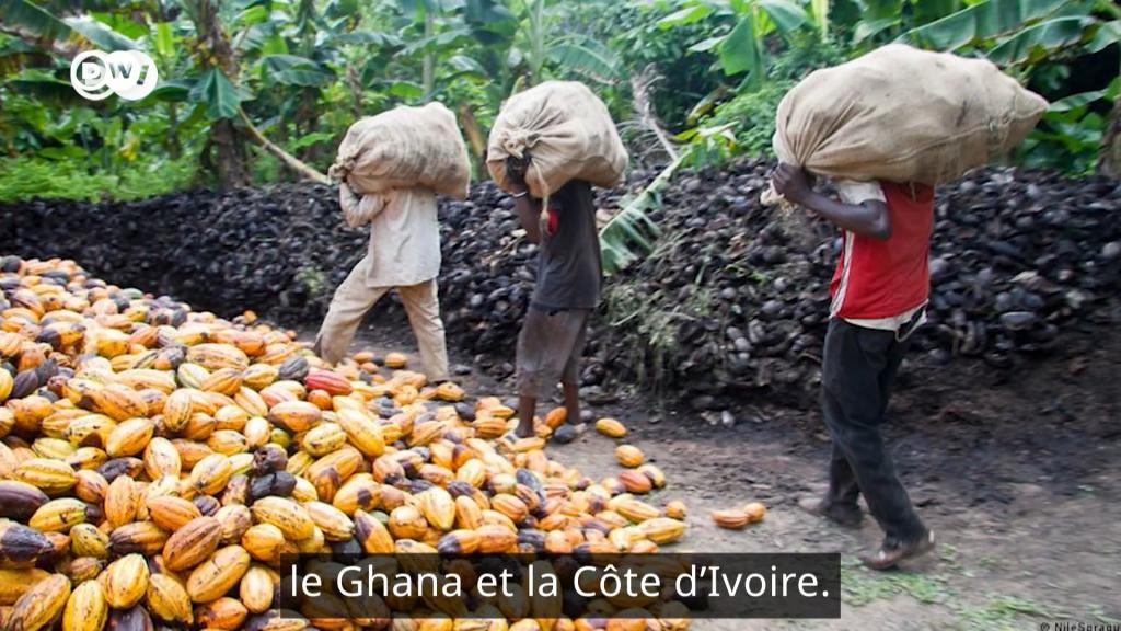 CACAO · PROTECTION DE L’ENFANCE Cacao propre : la Côte d’Ivoire ne baisse pas la garde