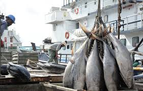 ENVIRONNEMENT · RESSOURCES HALIEUTIQUES Pêche illicite : Abidjan monte la garde sur ses 200 000 km² d’océan