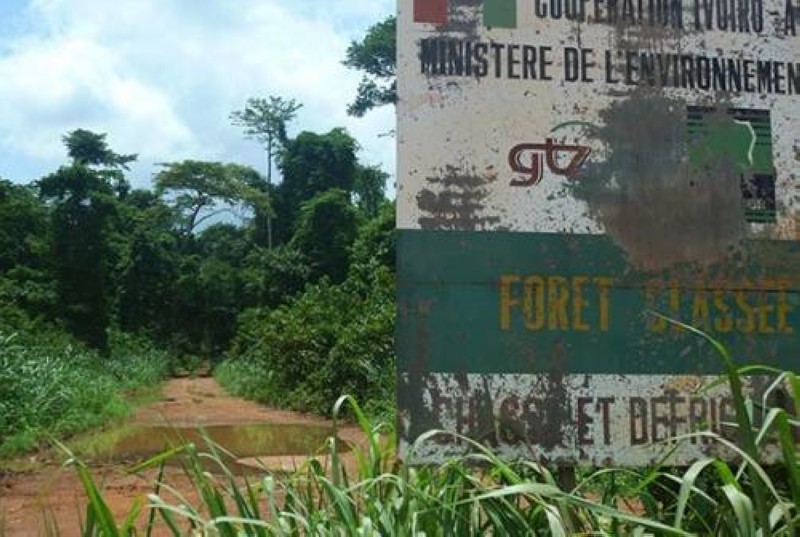 PARC DU MONT PÉKO : UN DIAGNOSTIC HISTORIQUE, DES DÉFIS COLOSSAUX